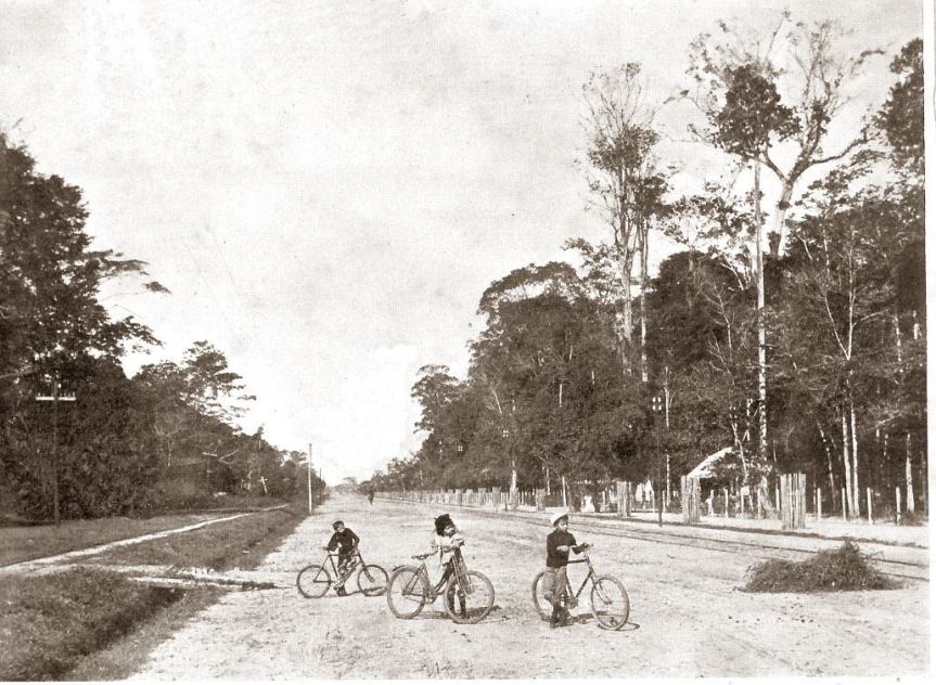 857943_339976289442369_1280138219_o