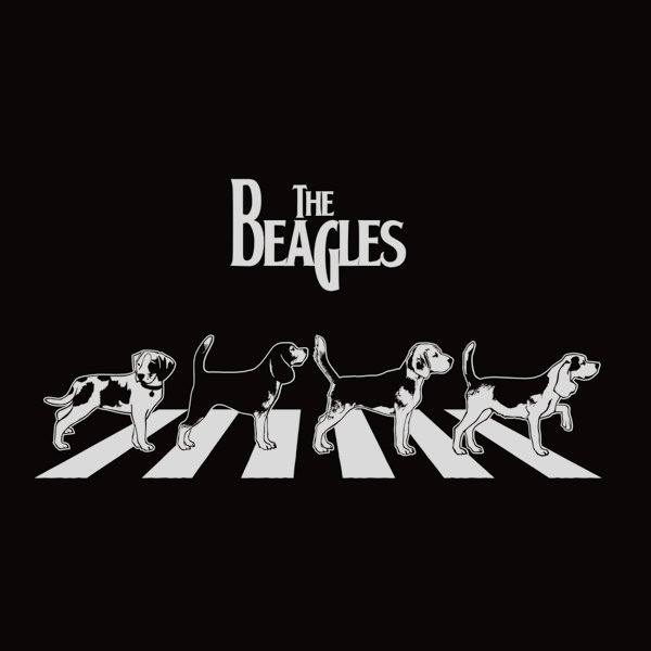 1391422_10151959969707206_1315016875_n