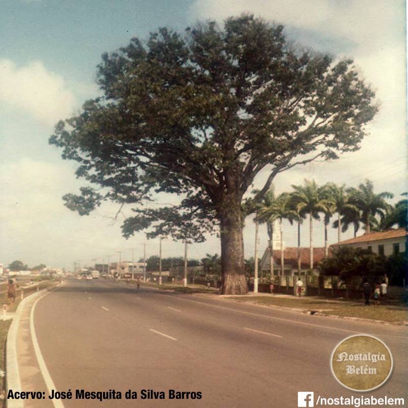 561849_431623220293079_65441511_n