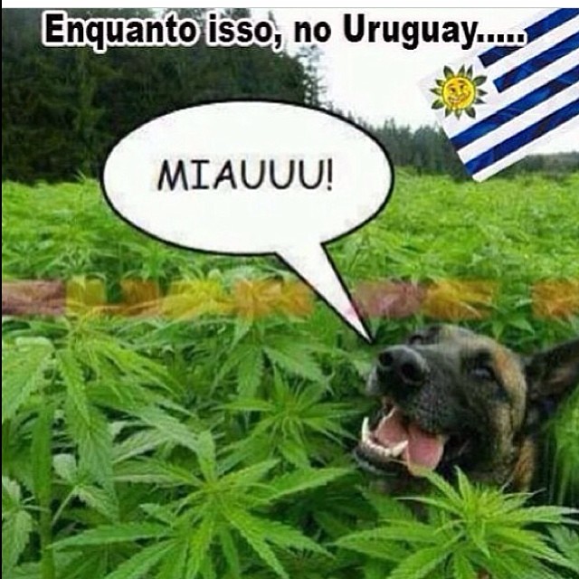 1501840_601794806524625_910173060_n