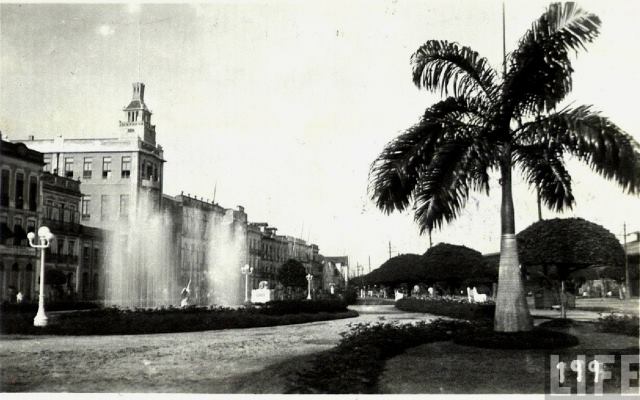 1010464_457454821043252_1728672314_n