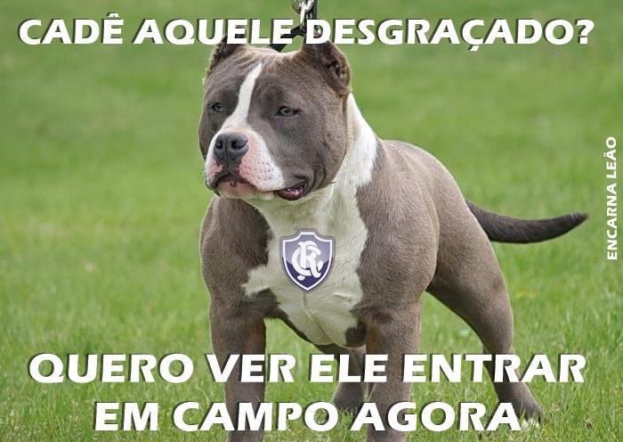 1901463_583471985069923_1334851216_n