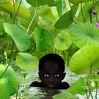 10014615_541596662621765_654573535_n