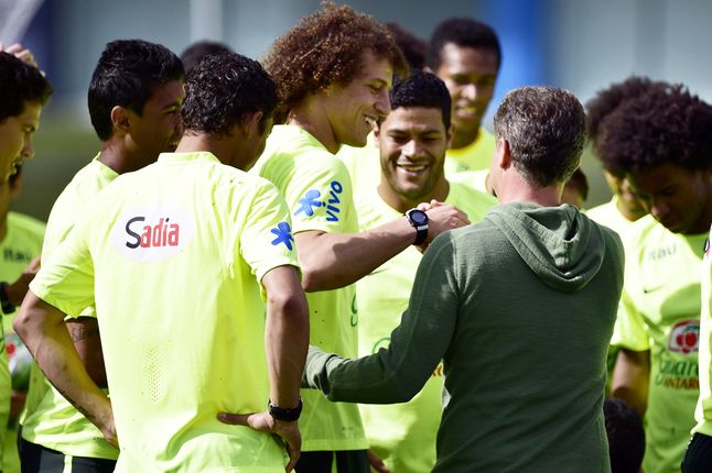 Luciano-Selecao-Brasileira-Gaspar-NobregaVipcomm_LANIMA20140529_0069_3