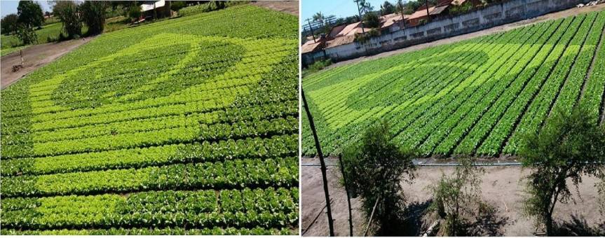 10443053_773343549385321_8158139443201462687_o