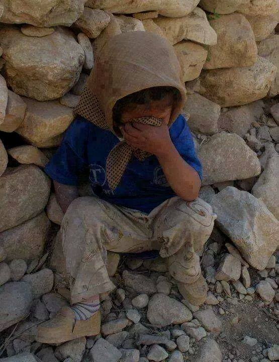 10557391_10204468641857273_2871506904574849232_n