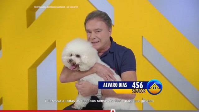 alvaro.poodle