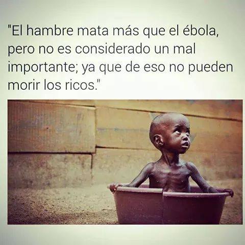 10345734_285768188287655_5767415377609209294_n