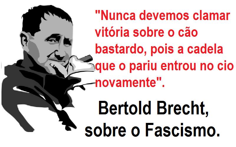 10730828_809562405753782_1235250333395750376_n