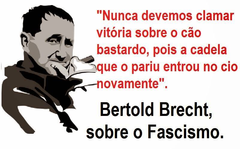 11828763_686062321529702_6001654231798514628_n