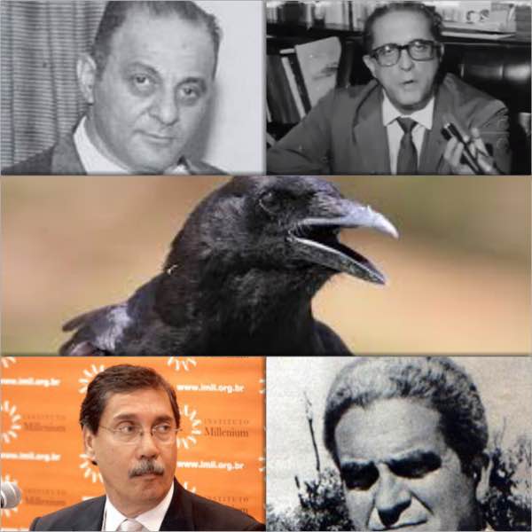 arq_103215_fotor_collage