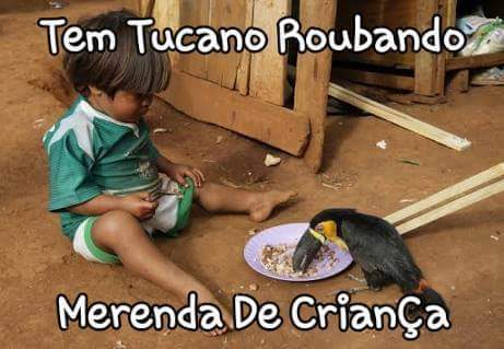 12715298_976587592411639_2622245735897056742_n