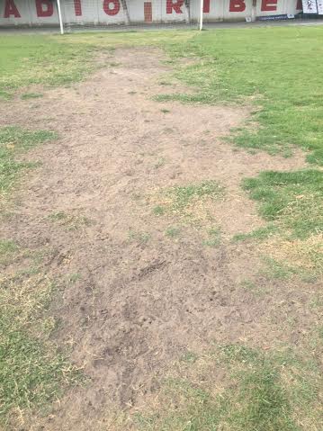 d7ac1b7a-9603-4196-9d38-dc08754de69a