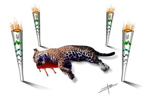 13516386_10209850177110553_142270995461103054_n