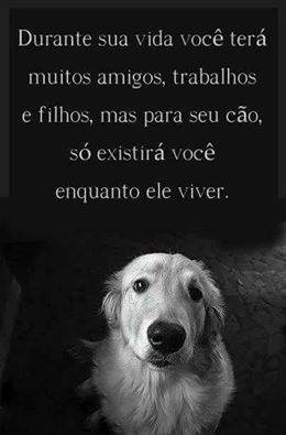 13876530_1739047723029571_1874313543299121646_n