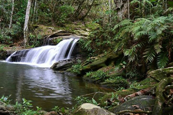 4c877a_994f831a176a44b28f0c7564ba1de2fb-mv2