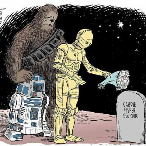 15697543_10209558995225718_9161034482387865163_n