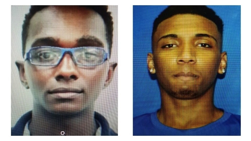 960_7eb6d1c4-8825-30ee-b0af-ecc5b73fdd8e