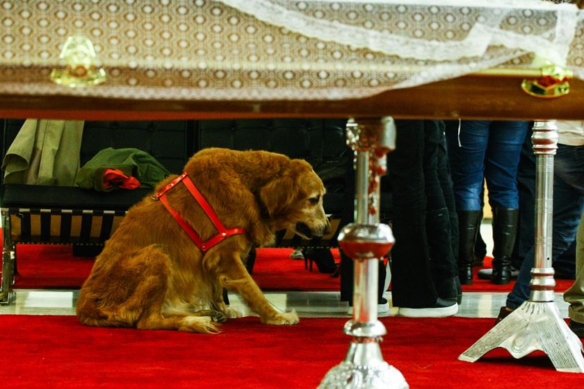 MORRE KID VINIL AOS 62 ANOS