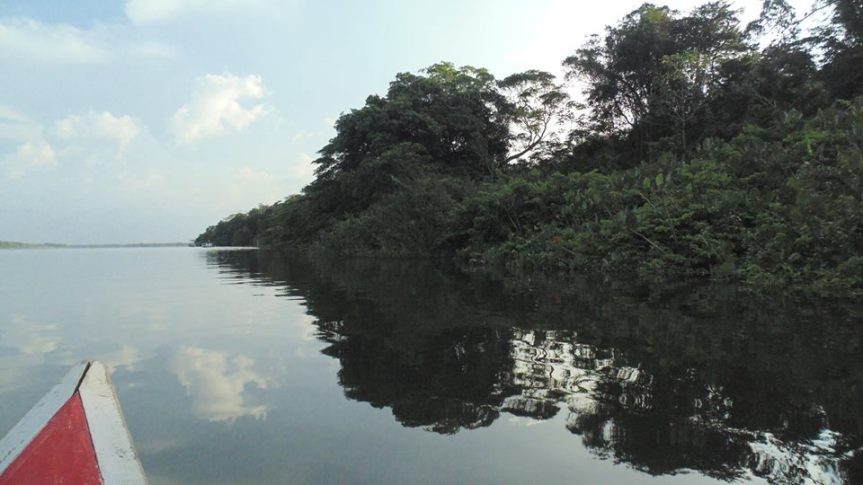 12039409_782438251865021_6726818062405102579_n