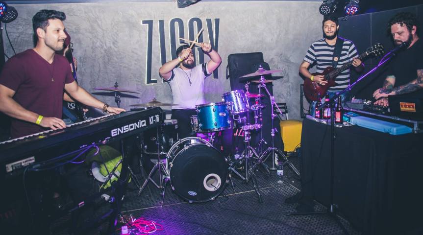 PROJETO SECRETO MACACOS