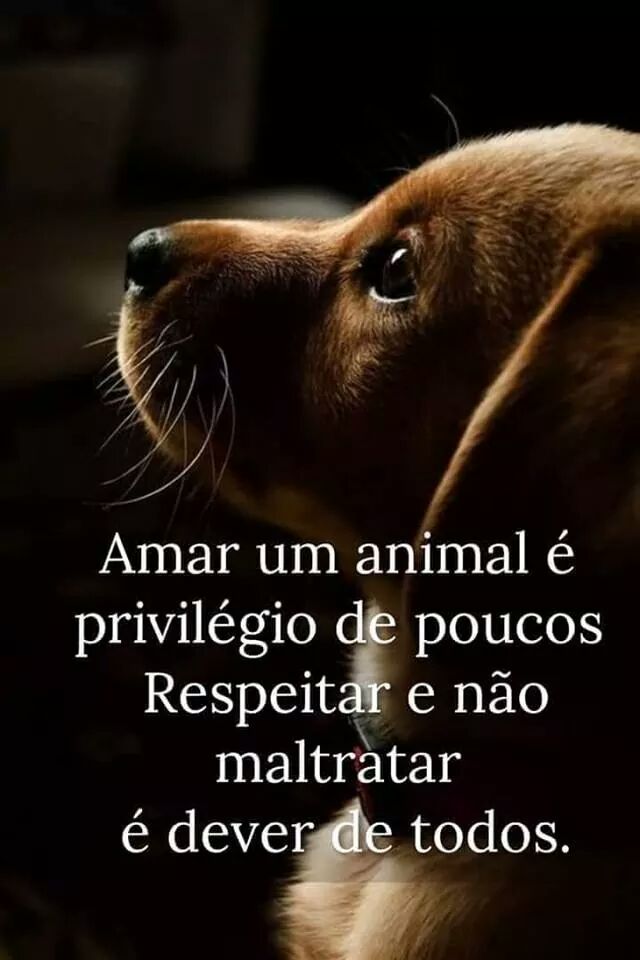 2b6c7077-184d-49cb-abe0-99138b1a3d5c