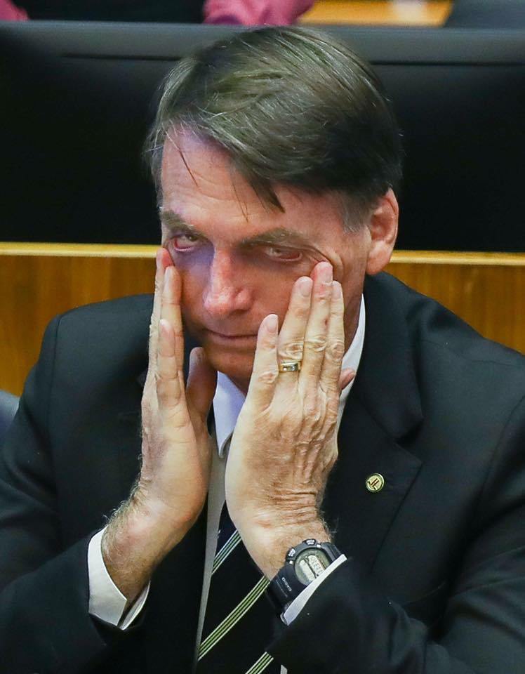 49898044_2263814783893881_6166696438525853696_n