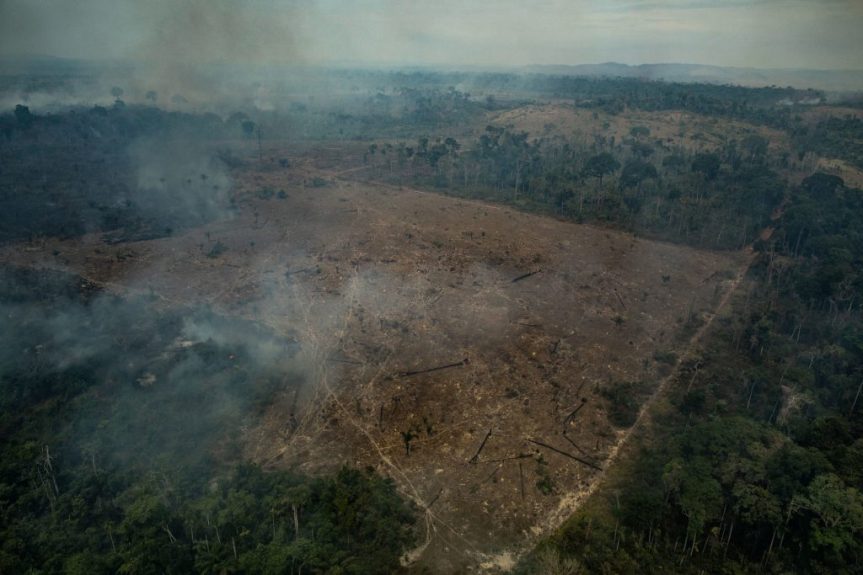 48638573778_f3a21d6f99_o