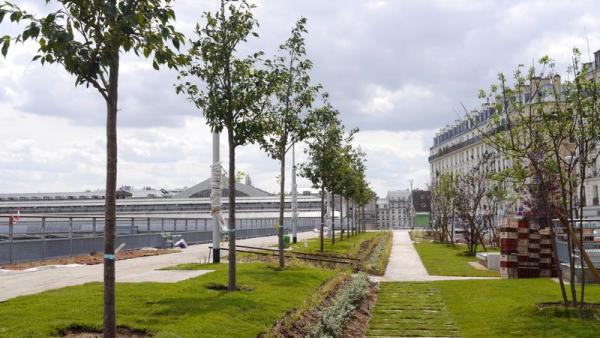 xxxxxxxxxxxxxxxxxxxxxxxxxxxx-52